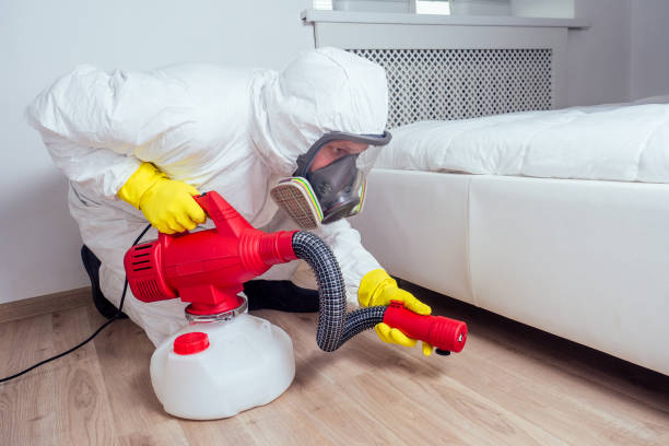 Best Best Pest Control Companies  in Mauldin, SC