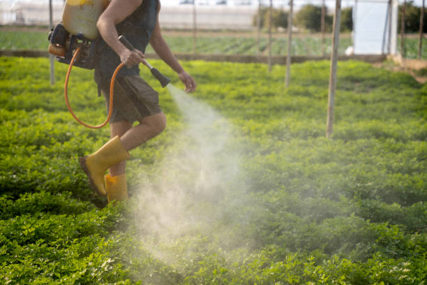 Best Affordable Pest Control Services  in Mauldin, SC