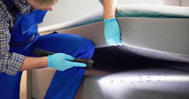 Best Pest Control Near Me  in Mauldin, SC